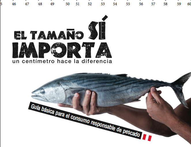 NOS VAMOS A QUEDAR SIN NADA: LAS VEDAS Y EL TAMAÑO IMPORTAN