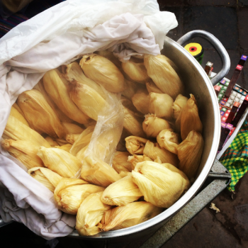 Foto de TAMALITOS CUSQUEÑOS: SUBLIME HOMENAJE AL MAÍZ