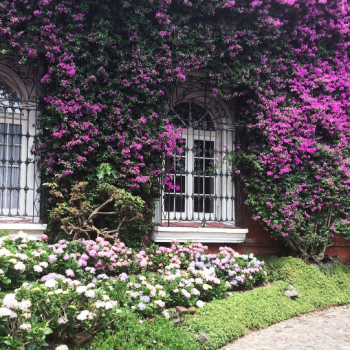 Foto de LLEGAMOS AL BARRIO DE SAN ÁNGEL EN MÉXICO