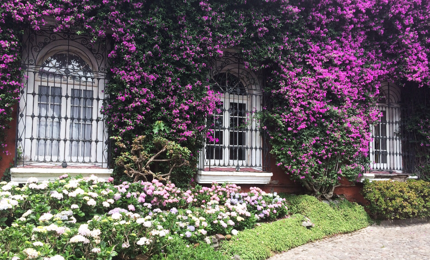 LLEGAMOS AL BARRIO DE SAN ÁNGEL EN MÉXICO
