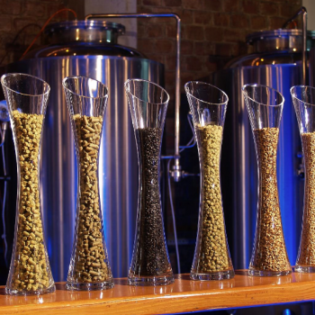 Foto de HOPS: ONDA CERVECERA EN PUEBLO LIBRE