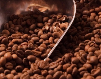 Foto de UN CAFÉ CALENTITO EN LA FERIA