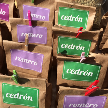 Foto de PIENSA VERDE: LISTA DE COMPRAS PARA HOY Y MAÑANA