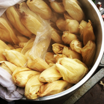 Foto de 6 TAMALES Y HUMITAS