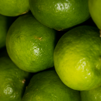 Foto de ECHARATI Y SUS CÍTRICOS