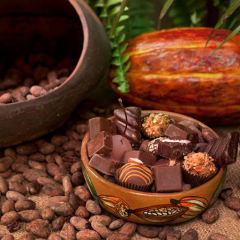 Foto de ABRIÓ NUEVO MUSEO DEL CHOCOLATE