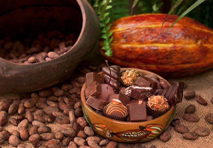 ABRIÓ NUEVO MUSEO DEL CHOCOLATE