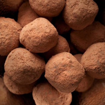 Foto de CHOCOLATES POR LOS NIÑOS