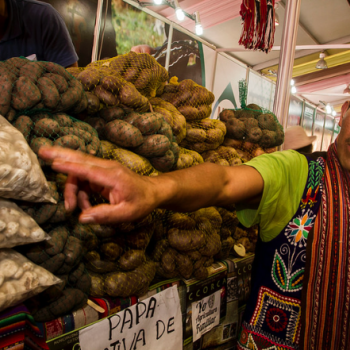 Foto de COMPRAS: TODAS LAS PAPAS DEL GRAN MERCADO