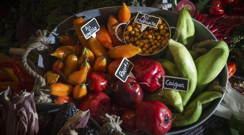 FORO MUNDIAL GASTRONÓMICO EN PERÚ