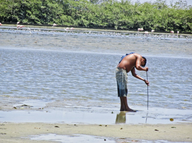 MUNDO DE MANGLAR: SAN PEDRO DE VICE