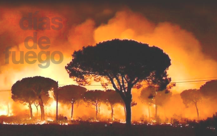 DÍAS DE FUEGO