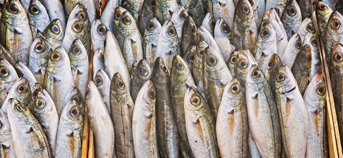 EL ACCESO AL PESCADO ES BUENO PARA «NOSOTROS»