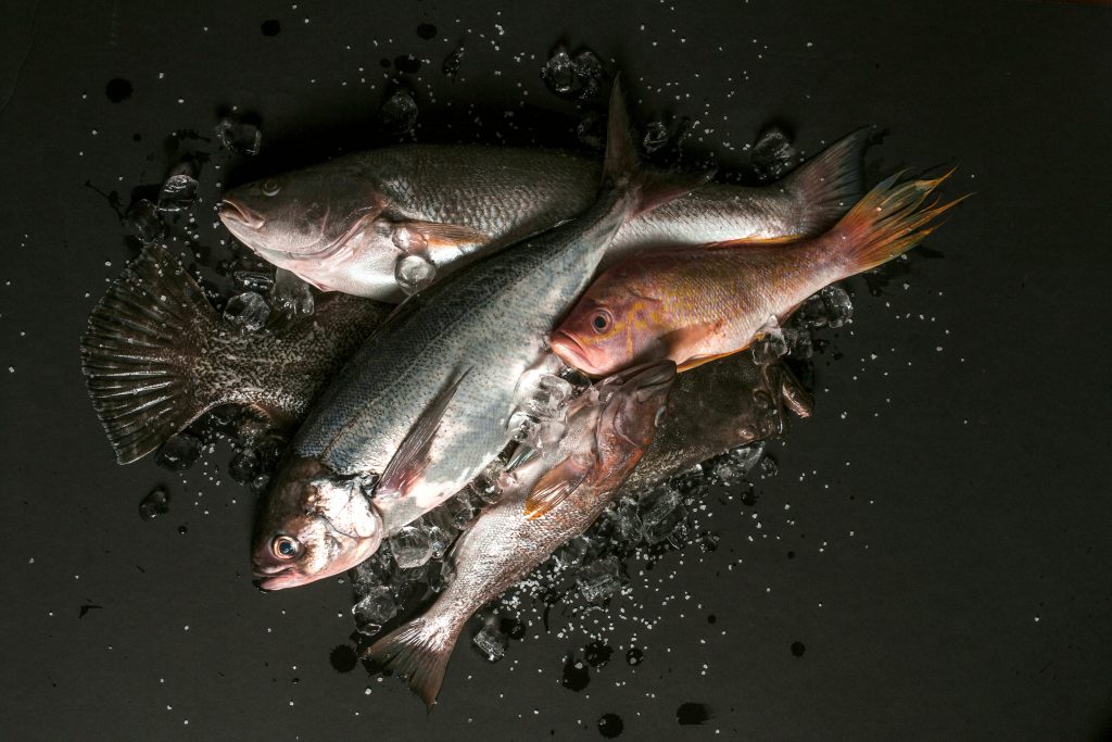 CEBICHE, UNA RECETA CLÁSICA Y ALGUNOS DATOS PARA QUE SALGA ESTUPENDO