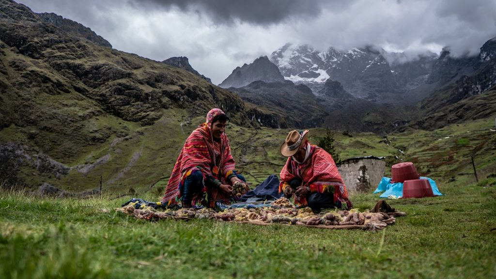 SUMAC CHIPS: LAS PAPAS NATIVAS DE LARES PARA EL MUNDO