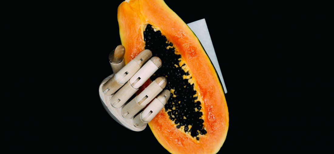 TATIANA ESPINOSA, INGENIERA FORESTAL: “LO QUE DEFORESTA NO ES LA PAPAYA SINO EL MONOCULTIVO”