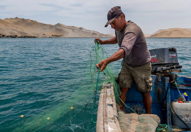LA CAMPAÑA DE OCEANA: LA AGENDA AZUL Y LA PESCA ARTESANAL