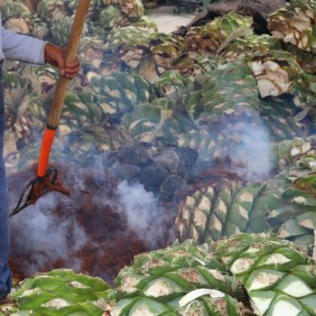 Foto de LAURA HERNÁNDEZ ESPINOSA: UN SORBO A LA VEZ, PARA TODO MAL, ¿MEZCAL? ESCUCHA SU PODCAST