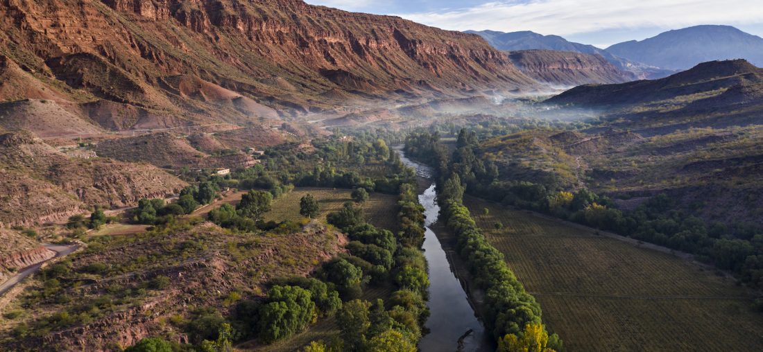 VINOS DE BOLIVIA: UNO DE LOS SECRETOS MEJOR ESCONDIDOS DE SUDAMÉRICA