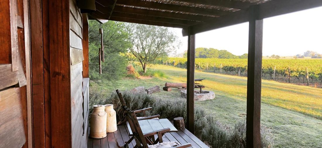 URUGUAY, MUCHO MÁS QUE TANNAT: PEQUEÑAS BODEGAS Y GRANDES VINOS