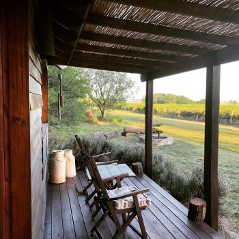 Foto de URUGUAY, MUCHO MÁS QUE TANNAT: PEQUEÑAS BODEGAS Y GRANDES VINOS