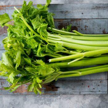 Foto de PARA QUERERLO UN POCO MÁS: EN EL NOMBRE DEL BUEN APIO Y LA ENSALADA WALDORF