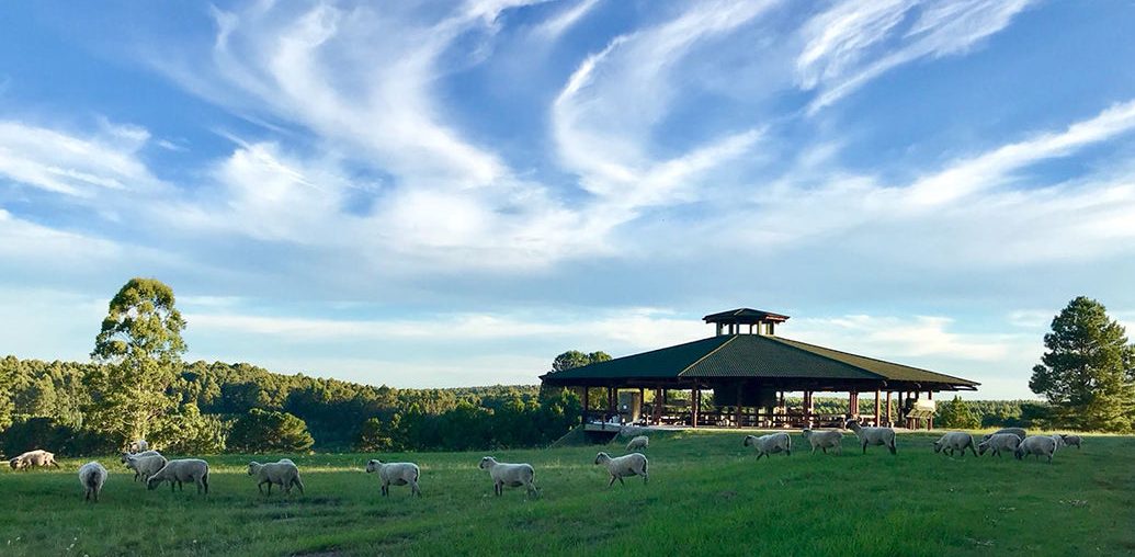 VINOS: CERRO CHAPEU, LA REGIÓN DE RIVERA EN URUGUAY