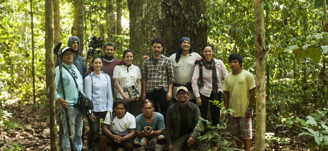 LAS POSIBILIDADES DE LA NUEZ O CASTAÑA DE MADRE DE DIOS