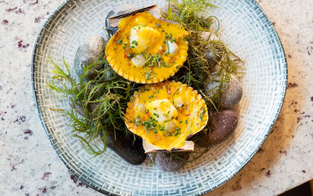 RECETA Y TIPS: CONCHITAS A LA PARMESANA DEL CHEF HEINE HEROLD