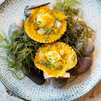 Foto de RECETA Y TIPS: CONCHITAS A LA PARMESANA DEL CHEF HEINE HEROLD