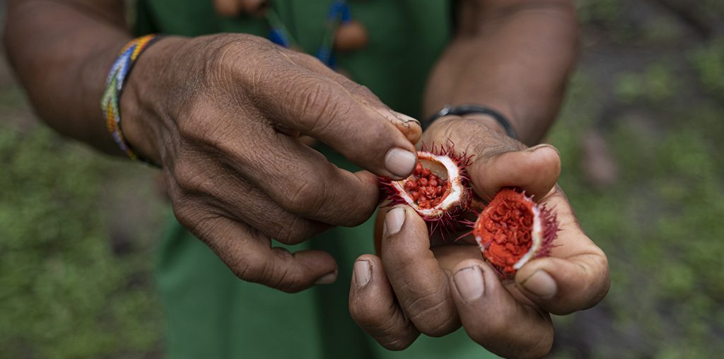 PREMIO FOOD PLANET: DOS MILLONES DE DÓLARES PARA UN PROYECTO INNOVADOR