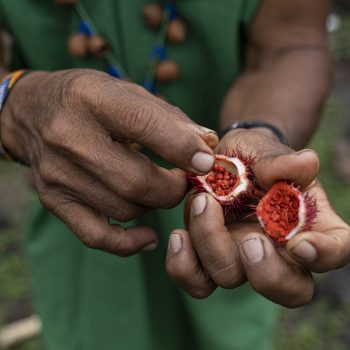 Foto de PREMIO FOOD PLANET: DOS MILLONES DE DÓLARES PARA UN PROYECTO INNOVADOR