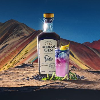 Foto de UN GIN DE ARÁNDANOS BIEN PERUANO