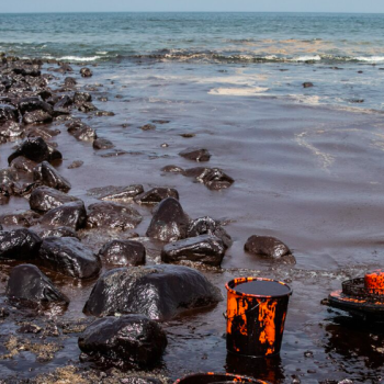 Foto de PETRÓLEO Y MAR: ¿QUÉ HACER PARA QUE EL OCÉANO SEA UNA DESPENSA INACABABLE?