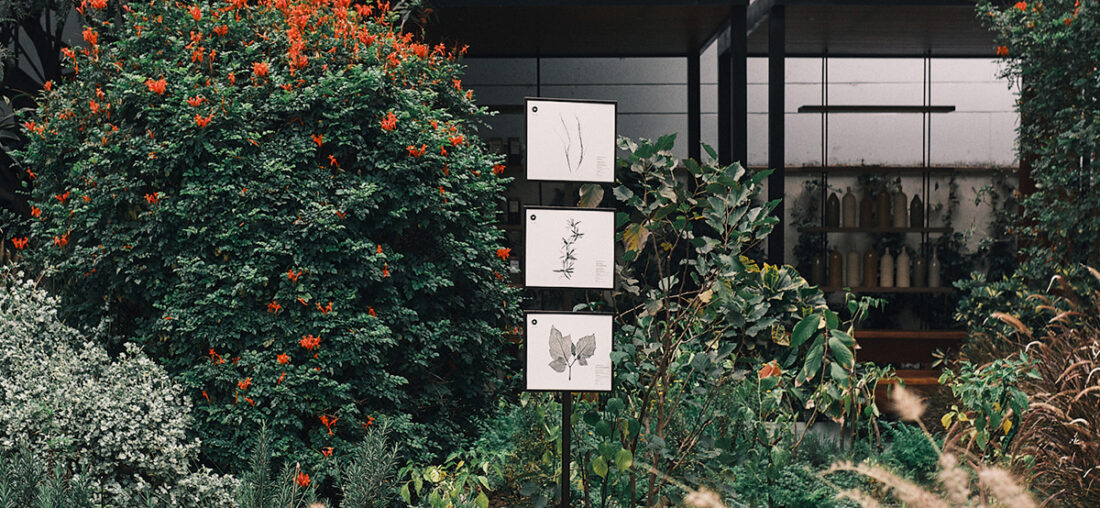UN JARDÍN BOTÁNICO EN CASA TÚPAC