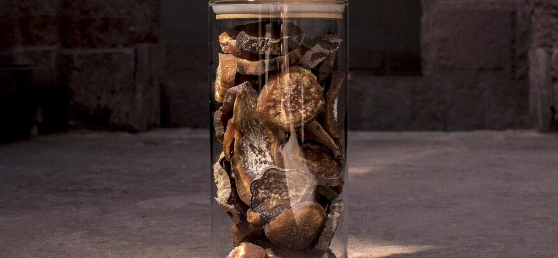 EL RITUAL DEL TIEMPO: PRESERVACIÓN EN LOS ANDES