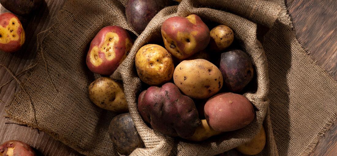 MES DE LA PAPA PERUANA: SEPAN CÓMO DIFERENCIARLAS, SU USO EN COCINA Y MÁS TIPS
