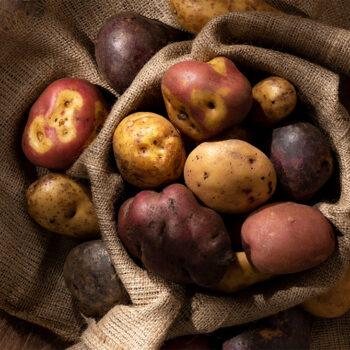 Foto de MES DE LA PAPA PERUANA: SEPAN CÓMO DIFERENCIARLAS, SU USO EN COCINA Y MÁS TIPS