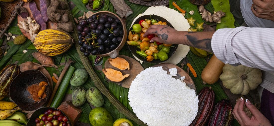 SOMOS SELVA: TODOS LOS CAMINOS CONDUCEN A LATINOAMÉRICA