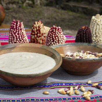 Foto de EL MAÍZ CABANITA EN TIEMPOS DEL SOLAY