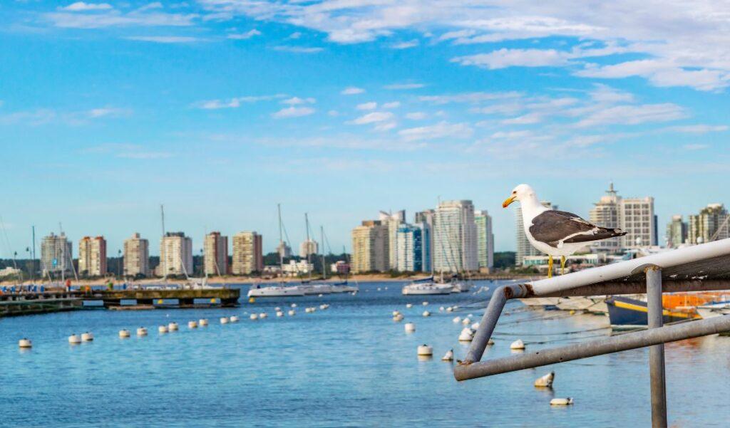 DÓNDE COMER EN PUNTA DEL ESTE SEGÚN MARÍA ELENA MARFETÁN