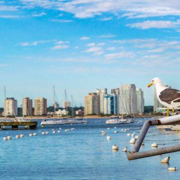 Foto de DÓNDE COMER EN PUNTA DEL ESTE SEGÚN MARÍA ELENA MARFETÁN