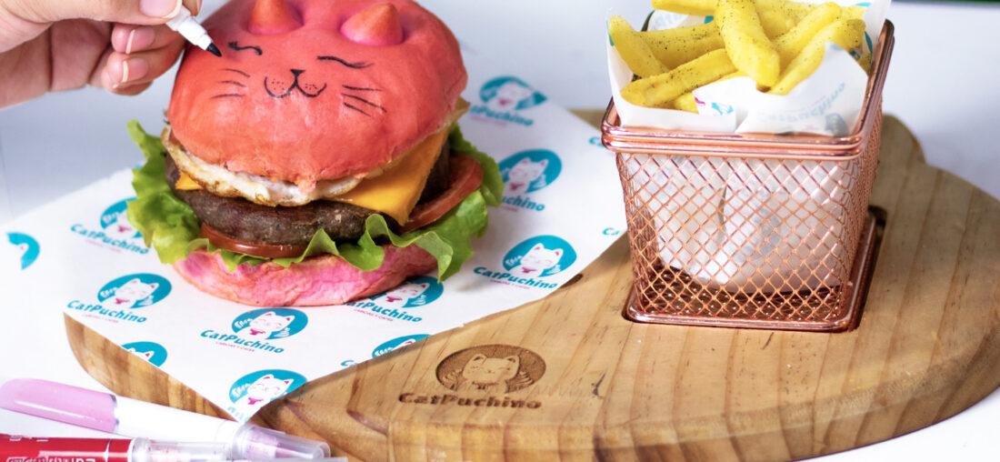 5 ALTERNATIVAS CAT FRIENDLY EN LIMA, CUSCO Y AREQUIPA PARA LLEVAR A NUESTROS MININOS O ADOPTAR UNO