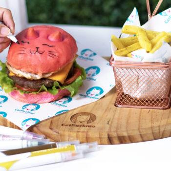 Foto de 5 ALTERNATIVAS CAT FRIENDLY EN LIMA, CUSCO Y AREQUIPA PARA LLEVAR A NUESTROS MININOS O ADOPTAR UNO