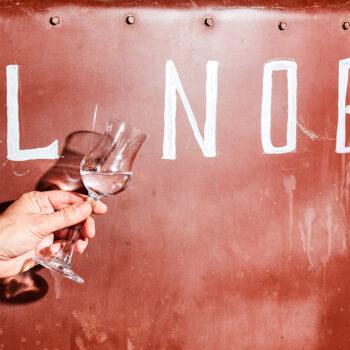 Foto de PISCO, EL ETERNO PROTAGONISTA DE NUESTROS BARES