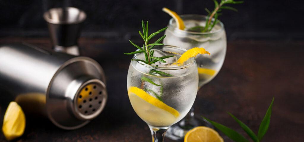 ¿DÓNDE TOMAR GIN TONICS? CON FIORELLA LARREA DE TRAGALUZ