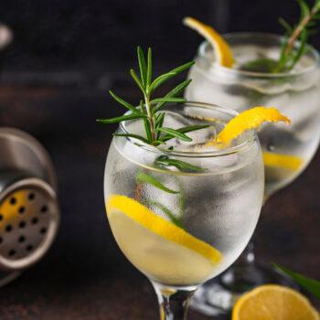 Foto de ¿DÓNDE TOMAR GIN TONICS? CON FIORELLA LARREA DE TRAGALUZ