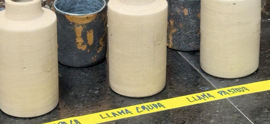 BEBER LECHE DE LLAMA Y ALPACA: UNA INVESTIGACIÓN QUE ABRE NUEVOS CAMINOS