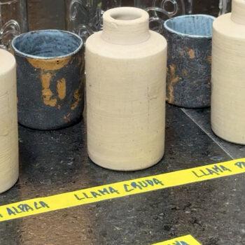 Foto de BEBER LECHE DE LLAMA Y ALPACA: UNA INVESTIGACIÓN QUE ABRE NUEVOS CAMINOS