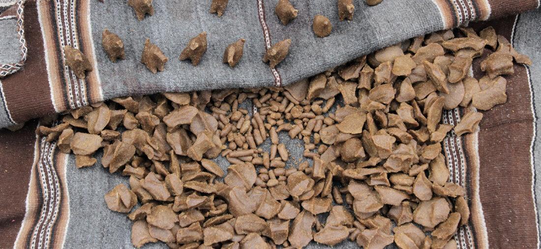 LA COSTUMBRE: EL SABER DE LA QUINUA